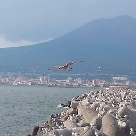 Casa Nonna Antonietta Castellammare di Stabia